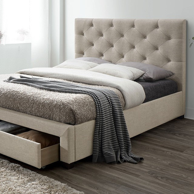 Dash Bed